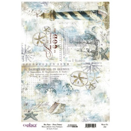 copy of Papel de arroz esfera reloj